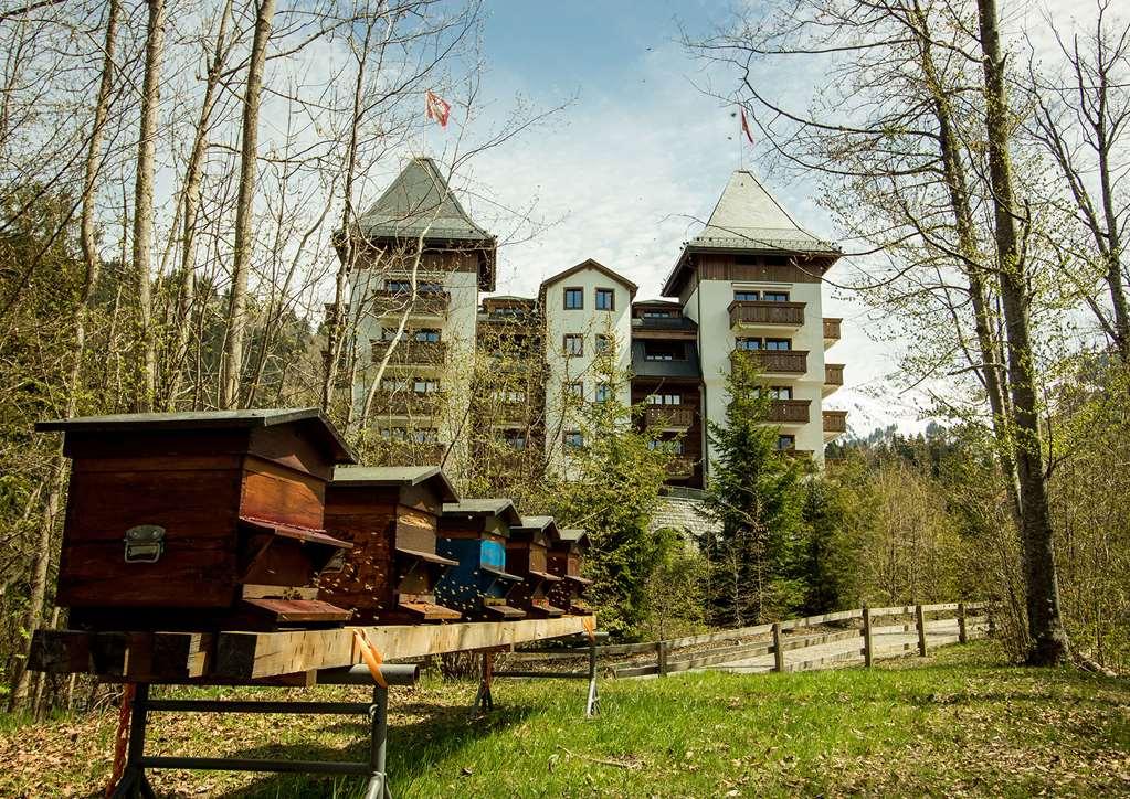Hotel The Alpina Gstaad Esterno foto